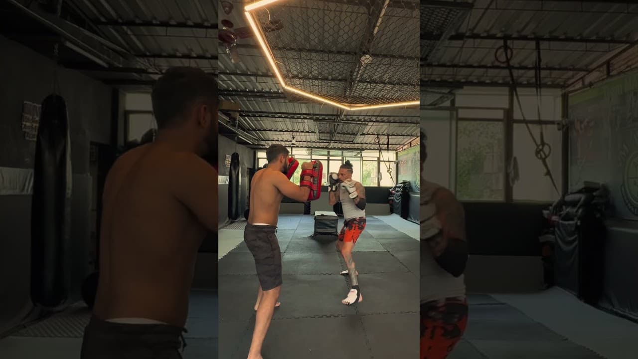MMA Training Highlights